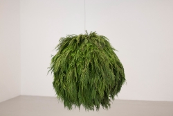 https://www.lauramcmorrow.com/files/gimgs/th-17_Laura_McMorrow_The_LostAcre_sculpture_web.jpg
