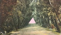https://www.lauramcmorrow.com/files/gimgs/th-19_Laura_McMorrow_Pink-triangle-web.jpg