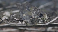 https://www.lauramcmorrow.com/files/gimgs/th-19_Looking-Aside_title-image-836x470@2x.jpg