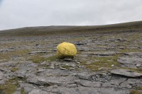 https://www.lauramcmorrow.com/files/gimgs/th-19_Yellow_Rock_web_erratic3.jpg