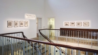 https://www.lauramcmorrow.com/files/gimgs/th-37_Install-shot-Laura-McMorrow-the-gardener-Digs-Dock-foyer.jpg