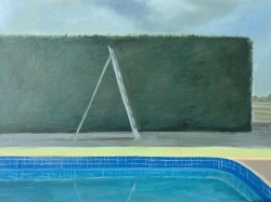 https://www.lauramcmorrow.com/files/gimgs/th-9_Laura_McMorrow_Pool_Ladder_v2.jpg
